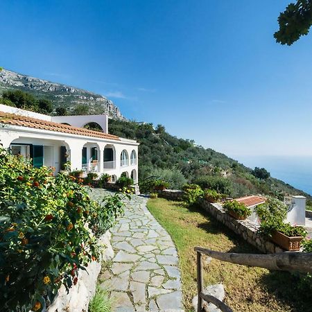 Il Nibbio Apartment Piano di Sorrento Exterior photo